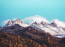 GGPoker-BIG4亚冠小组赛盘点：国安成唯一亮点恒大自酿苦果